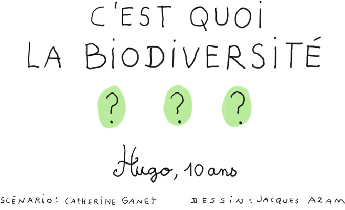 C'est quoi la biodiversité ?