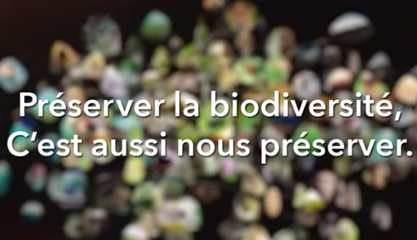 Vidéo préserver la biodiversité